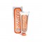 Зубная паста Marvis Ginger Mint 25 мл